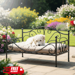 Dog Beds on Sale