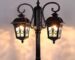 Outdoor Fancy Lamp Post